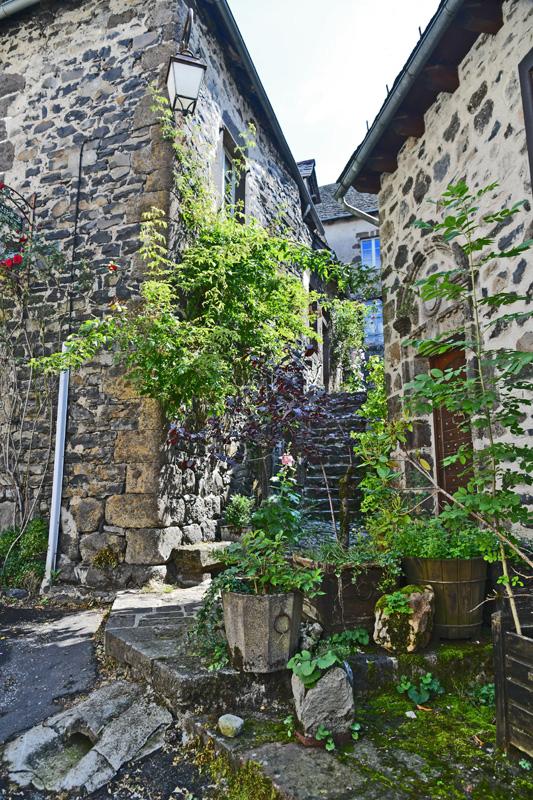 min 2023 08 13 Salers 141